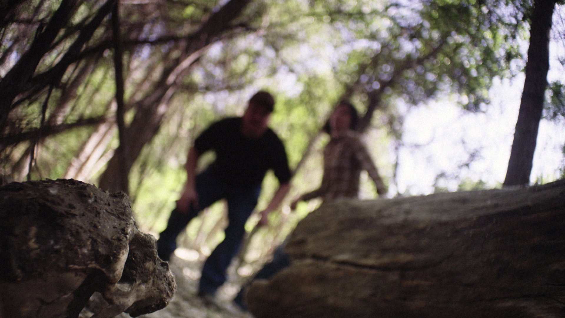 Watch Buried In The Backyard 110 A Dog S Gruesome Discovery